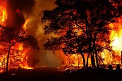 بالفيديو.. دخان حرائق الغابات الأمريكية يصل إلى أوروبا