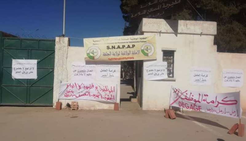بالصور.. عمّال المصالح الفلاحية بالجلفة يحتجّون ويطالبون بتنحي المدير