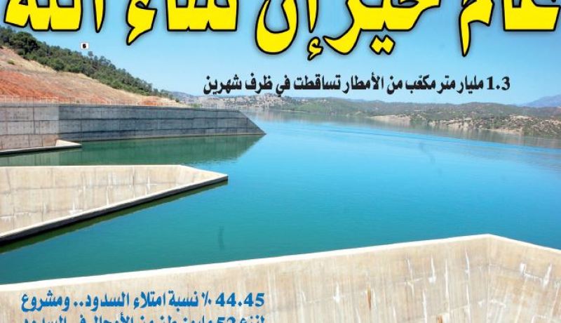 1.3 مليار متر مكعّب من الأمطار تساقطت في شهرين.. عام خير إن شاء الله