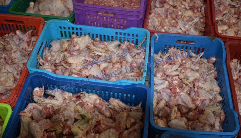 قسنطينة: حجز 231 كلغ من اللحوم البيضاء غير القابلة للاستهلاك