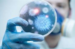 “كورونا” ليس الإسم الرسمي للفيروس القاتل.. هكذا يختار العلماء اسما لأي فيروس جديد