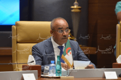  بدوي: البيروقراطية تعرقل التوظيف في الجنوب