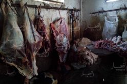 بالفيديو والصور.. القضاء على مذبح غير شرعي في قسنطينة