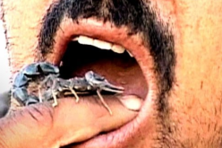 عقرب في فمي يخنقني… هي كلمة السوء تنطقين بها