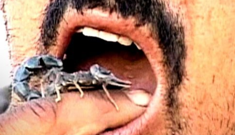 عقرب في فمي يخنقني… هي كلمة السوء تنطقين بها
