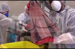 شركة ريكامار توضح وتكذب الفيديو التضليلي المتداول بالفايسبوك