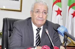 اوسعيد: الجزائريون سيستقبلون العيد تحت الحجر الصحي.. وارتفاع المصابين بسبب التهور واللامسؤولية