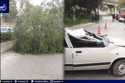 بومرداس: وفاة شخص جراء سقوط شجرة على سيارة سياحية