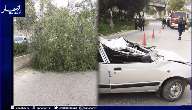 بومرداس: وفاة شخص جراء سقوط شجرة على سيارة سياحية