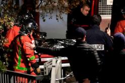 نمر يثير الرعب في باريس