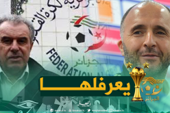 فرقاني: “هكذا نجح بلماضي في مهمته مع الخضر”