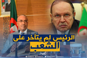 بدوي: “الرئيس لم يتماطل في الرد على مطالب شعبه..وهو الضامن الوحيد لتجسيد طموحاته”