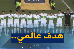 بالفيديو.. شاهد الأهداف الرائعة لشُبان “الخضر” أمام “تانزانيا”