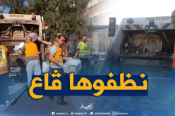 يوم بلا عامل نظافة..مبادرة تطوعية من مواطني بريكة لتنظيف المدينة