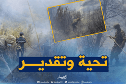 الجيش يوفر وسائل دعم لمساعدة الحماية المدنية في إخماد نيران حظيرة الآرز
