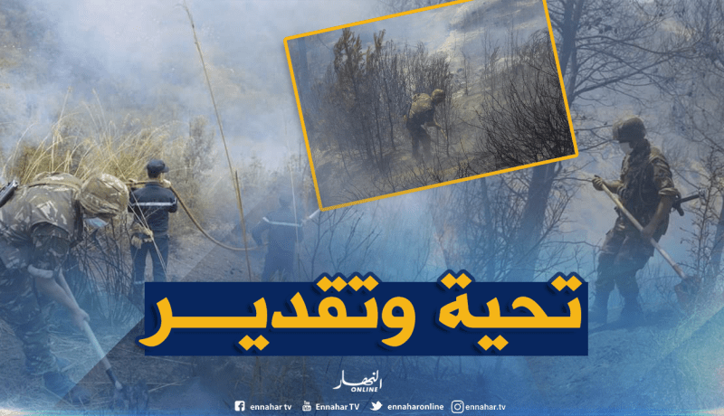الجيش يوفر وسائل دعم لمساعدة الحماية المدنية في إخماد نيران حظيرة الآرز