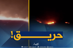 النيران تلتهم المنطقة الغابية بني محرز لثنية الحد في تيسمسيلت