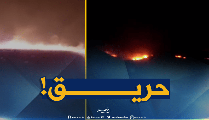 النيران تلتهم المنطقة الغابية بني محرز لثنية الحد في تيسمسيلت