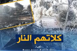 النيران تلتهم غابات البلوط والزيتون والكروم بتسدان حدادة في ميلة