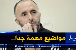أولى أصداء سفرية بلماضي الهامة الى الكاميرون