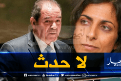 وزارة الخارجية: تصريحات البرلمانية الأوروبية لا حدث ولن نرد عليها