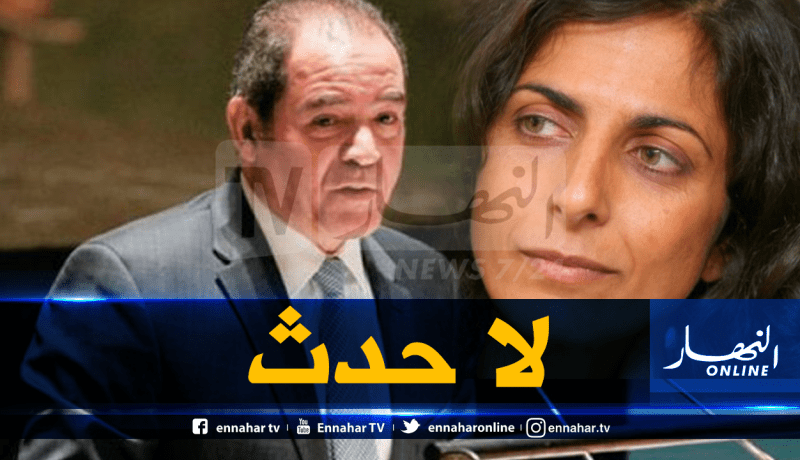 وزارة الخارجية: تصريحات البرلمانية الأوروبية لا حدث ولن نرد عليها