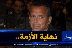 بعد 31 عاما.. بلومي يعود الى مصر