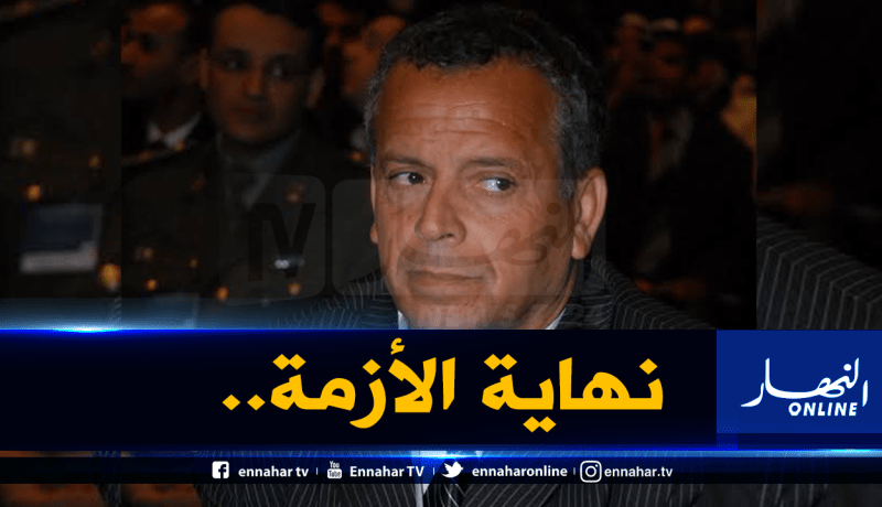 بعد 31 عاما.. بلومي يعود الى مصر