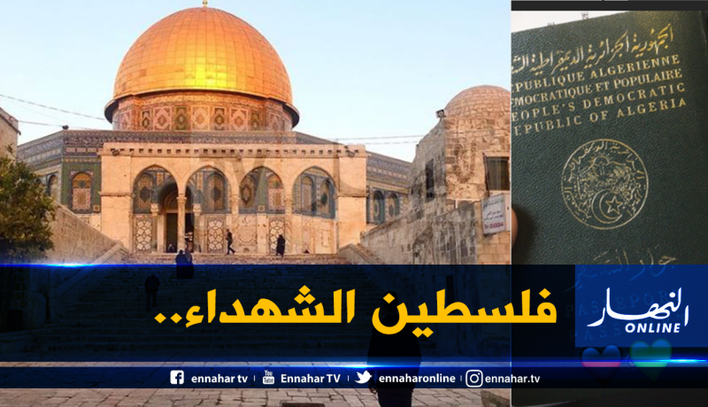 بالفيديو.. غزال يعود الى القدس ويفتخر بـ”الباسبور” الأخضر
