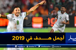 بالفيديو.. الكاف ترشح بلايلي ومحرز لجائزة جديدة