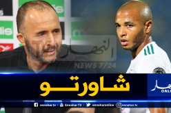 براهيمي: “هذا ما نصحني به بلماضي قبل اختياري الإنضمام للريان”