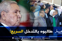 النقابة الوطنية للقضاة توجه نداء عاجل لبن صالح