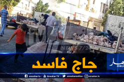 حجز أكثر من 4 قناطير من الدجاج الفاسد بمحل تجاري في معسكر