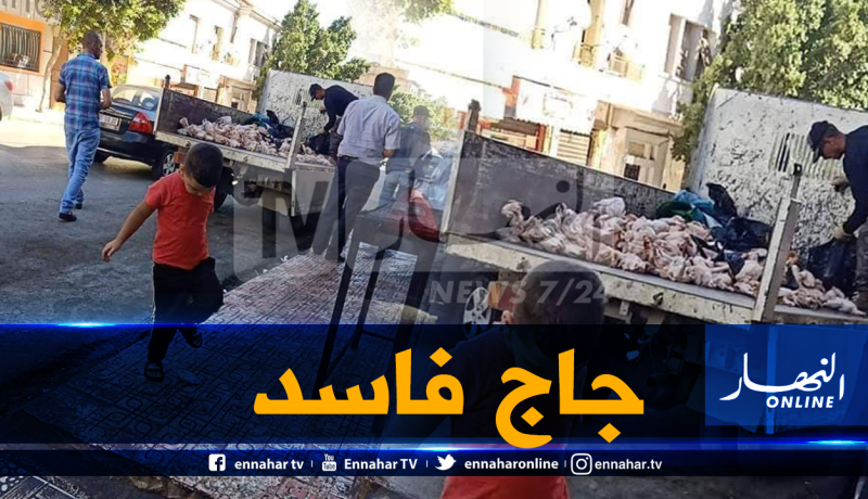 حجز أكثر من 4 قناطير من الدجاج الفاسد بمحل تجاري في معسكر