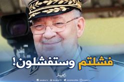 قايد صالح..كافة المحاولات للمساس باستقرار الجزائر فشلت وستفشل