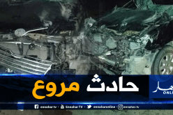 قتيل وجريحان في اصطدام سيارة بجمل في الوادي