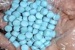 حجز قرابة 1.000 قرص مهلوس وتوقيف شخص في تلمسان