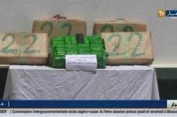 حجز 1.225من الكيف المعالج بعين تموشنت