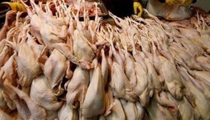 حجز قرابة  قنطار و500 كلغ من اللحوم البيضاء الفاسدة في البليدة