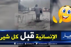شاهد : شاب يخاطر بحياته لانقاذ ماعز جرفتها السيول بالبرواڨية في المدية