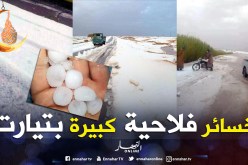 هذه خسائر الفلاحين من موجة البَرد بتيارت