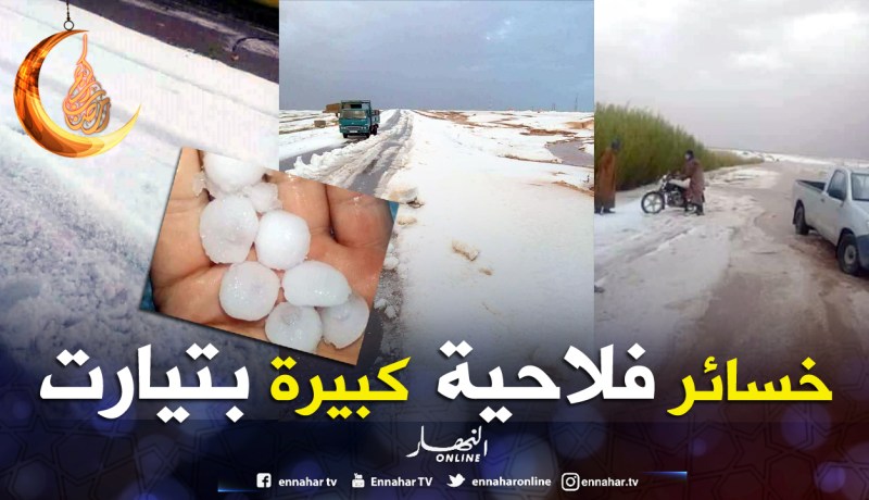 هذه خسائر الفلاحين من موجة البَرد بتيارت