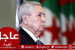 محافظ جديد لبنك الجزائر وكمال الدين شيخي رئيسا مديرا عاما لسوناطراك