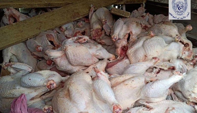 أم البواقي: حجز أزيد من 8 قناطير من اللحوم البيضاء غير صالحة للاستهلاك البشري