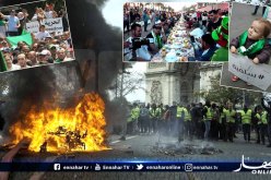 “السترات الصفراء”.. “الحراك الأبيض” وداء عمى الألوان يضرب أوروبا!