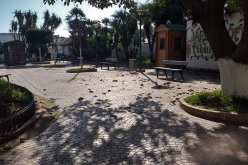 بلدية الجزائر الوسطى تقرر غلق الحدائق العمومية والمرافق الثقافية بسبب كورونا