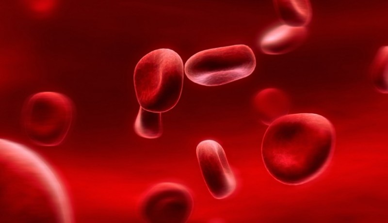 يصاب به طفل واحد من أصل 5000..الجزائر تحصي 3650 مصابا بمرض الهيموفيليا