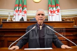 وزارة التعليم العالي: تعامل الأساتذة الباحثين مع المنظمات الأجنبية ممنوع  