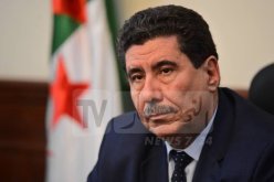 وزير الفلاحة: ضخ كميات معتبرة من القمح إلى مطاحن لإنتاج السميد