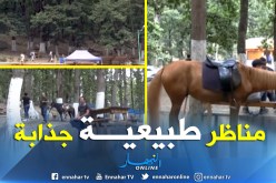 بالفيديو ..غابة ايعكوران بتيزي وزو وجهة سياحية بامتياز